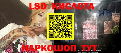 a pvp Новозыбков