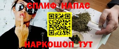 a pvp Новозыбков