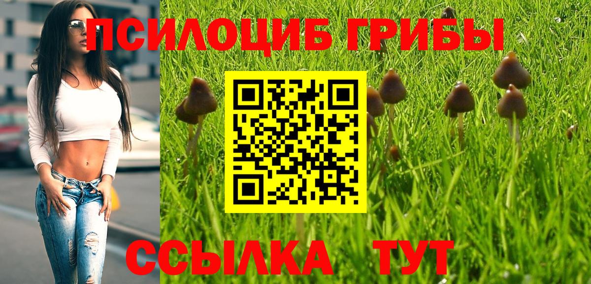 Псилоцибиновые грибы Psilocybine cubensis  Вход с VPN  Феодосия 